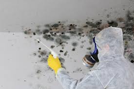 Reliable North Valley Stream, NY Mold Inspection Solutions